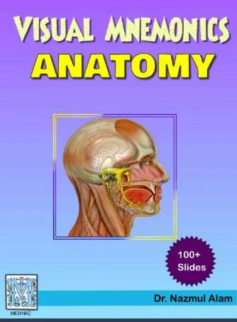 Visual Mnemonics Anatomy