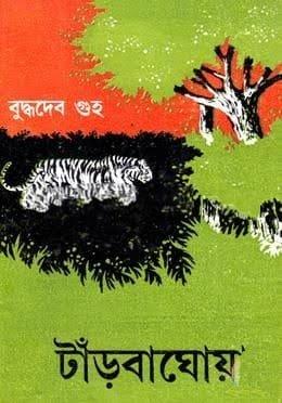 টাঁড়বাঘোয়