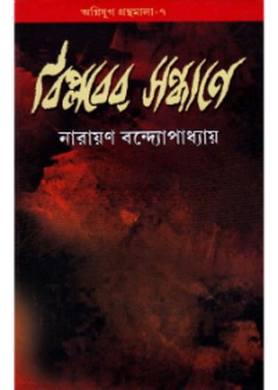 বিপ্লবের সন্ধানে