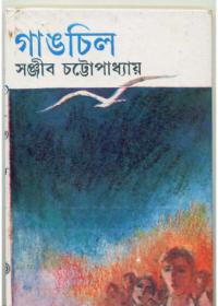 গাঙচিল