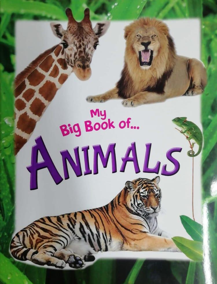 My Big Book Of Animals