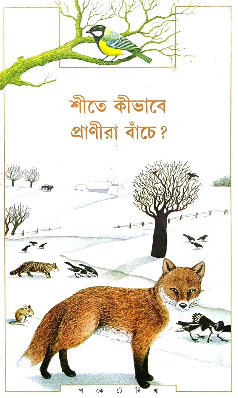 শীতে কিভাবে প্রাণীরা বাঁচে