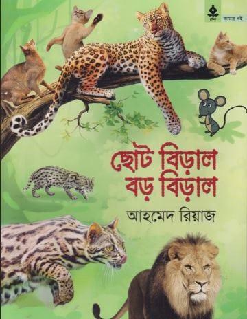 ছোট বিড়াল বড় বিড়াল