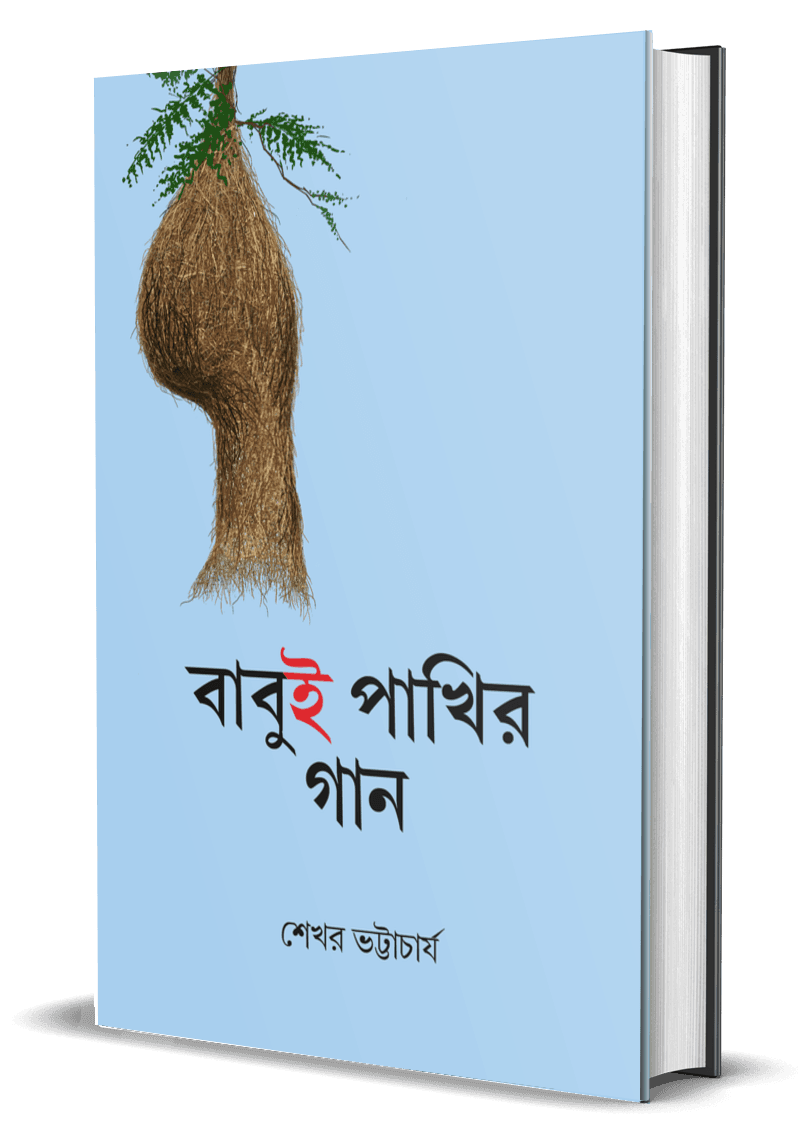 বাবুই পাখির গান