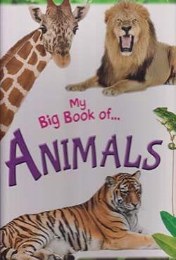 Big Book Of Animals
