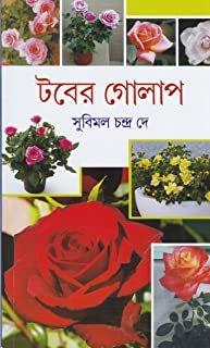 টবের গোলাপ