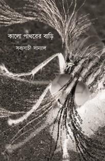 কালো পাথরের বাড়ি