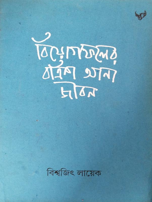 বিয়োগফলের বাইশ আনা জীবন