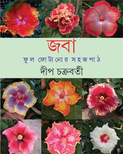 জবা ফুল ফোটানোর সহজ পাঠ