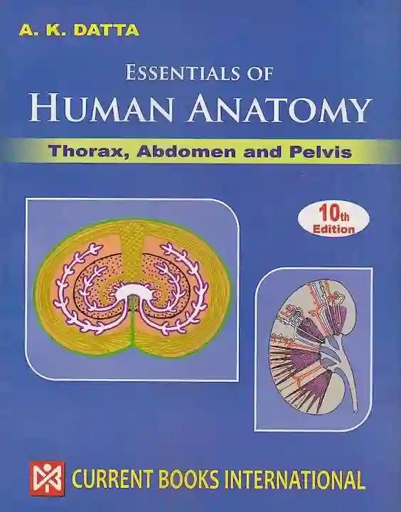 Essentials of Human Anatomy Volume 1-3