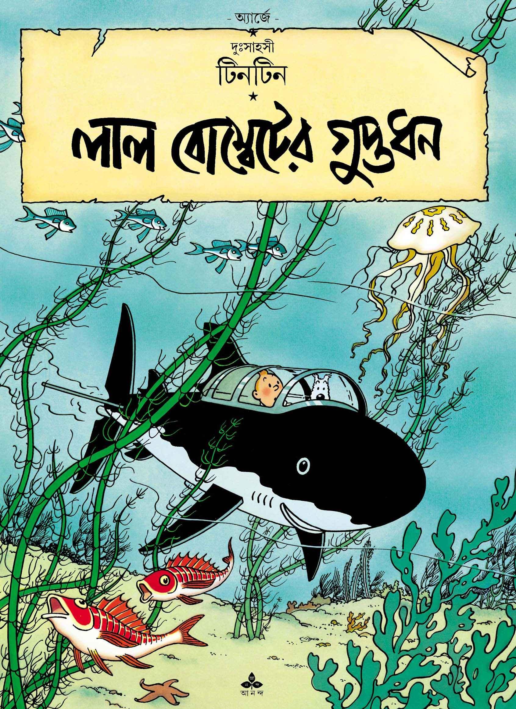 লাল বোম্বেটের গুপ্তধন