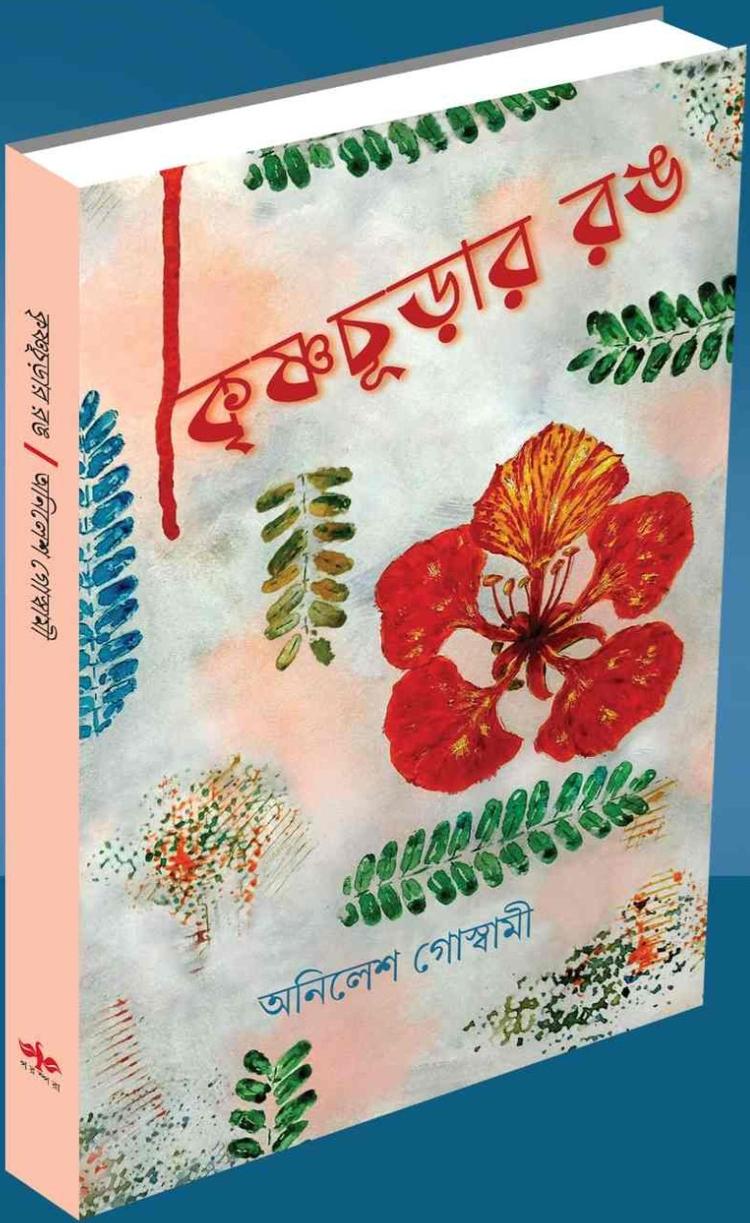 বইয়ের ভেতরের পাতা ১
