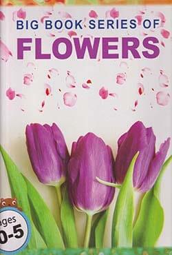 Big Book Series Of Flowers