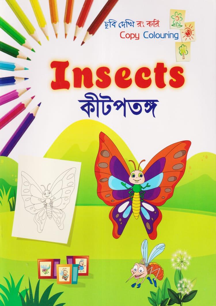 ছবি দেখি রং করি - কীটপতঙ্গ