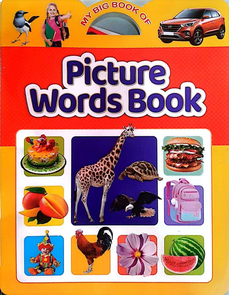 My Big Book Of Picture Words Book