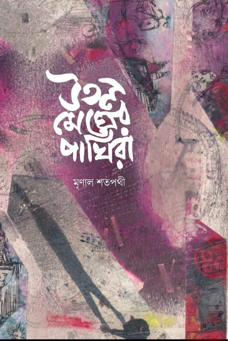 উতল মেঘের পাখিরা