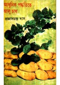 আধুনিক পদ্ধতিতে আলু চাষ