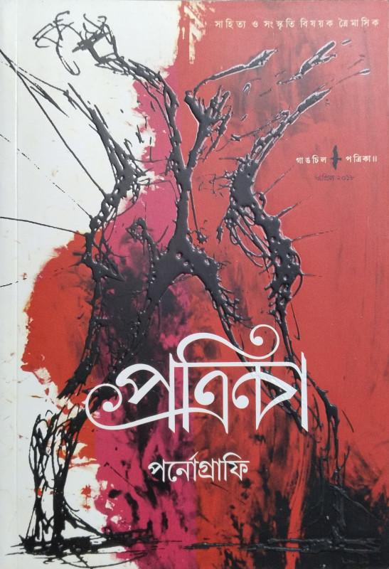 গাঙচিল পত্রিকা : পর্নোগ্রাফি