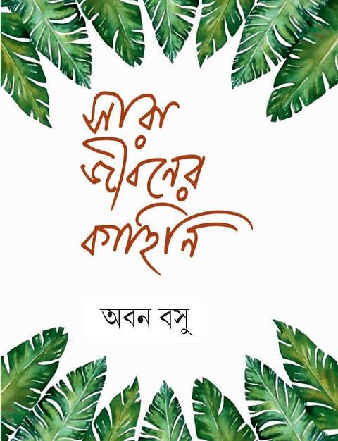 সারা জীবনের কাহিনি