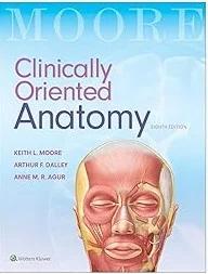 Moore Clinically Oriented Anatomy (South Asian Edition) (eco)