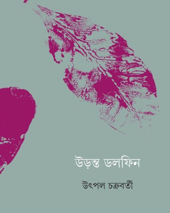 উড়ন্ত ডলফিন