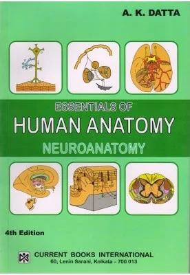 Essentials of Human Anatomy Neuroanatomy