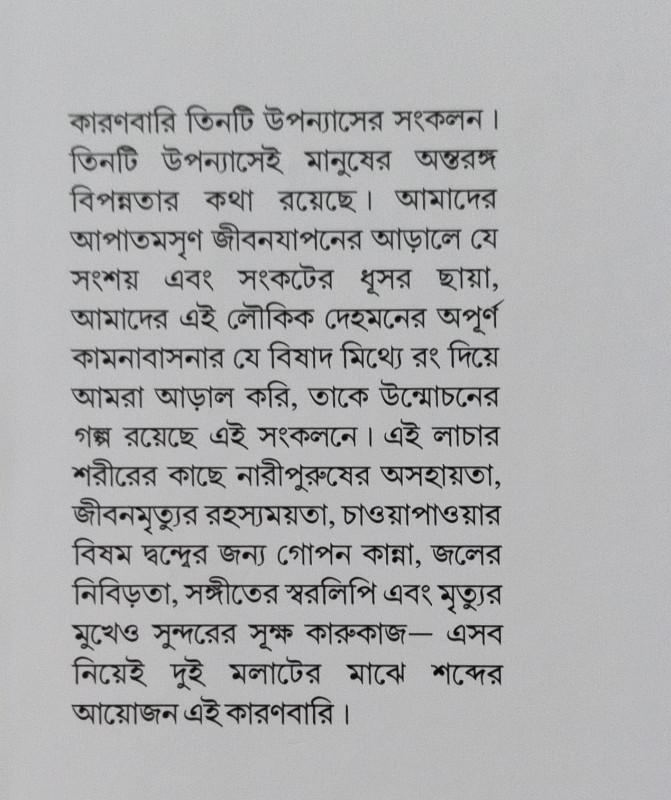 বইয়ের ভেতরের পাতা ১