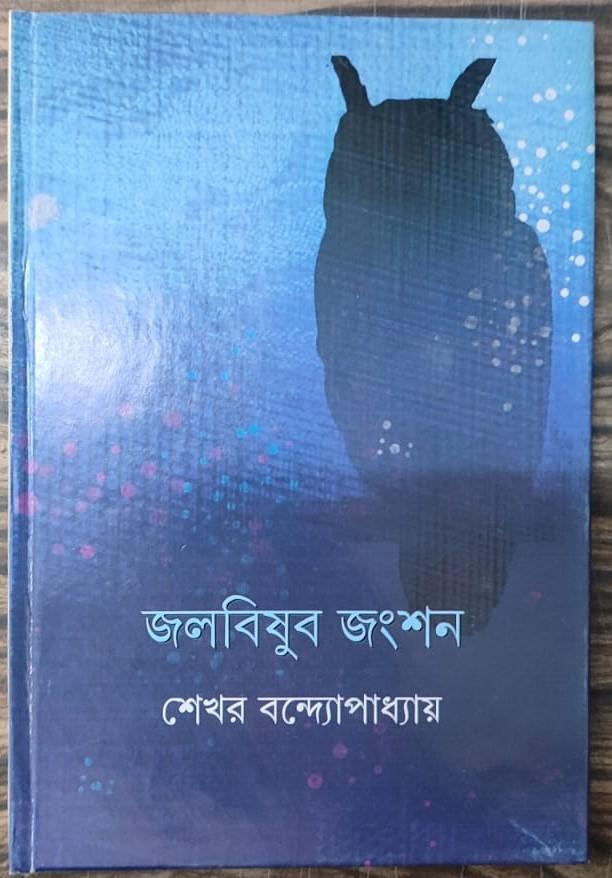 জলবিষুব জংশন