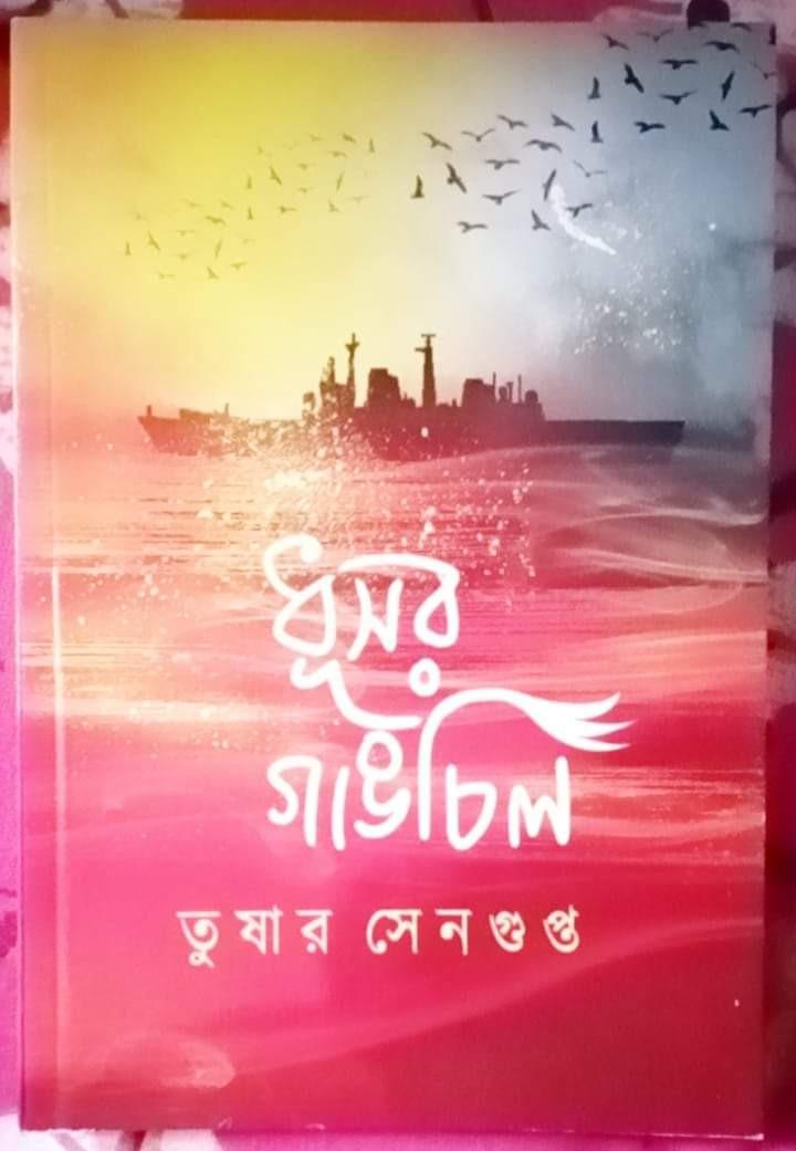 ধূসর গাঙচিল