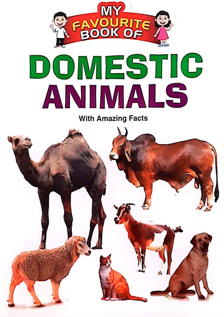 My Favourite Book Of : Domestic Animals