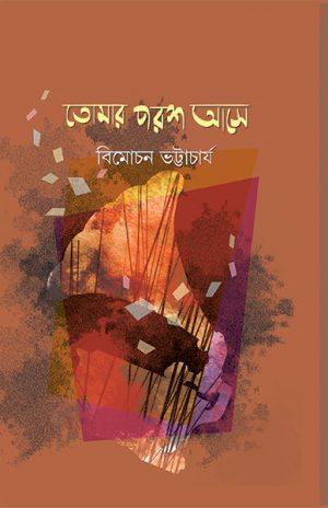 তোমার পরশ আসে