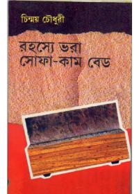 রহস্যে ভরা সোফা-কাম বেড