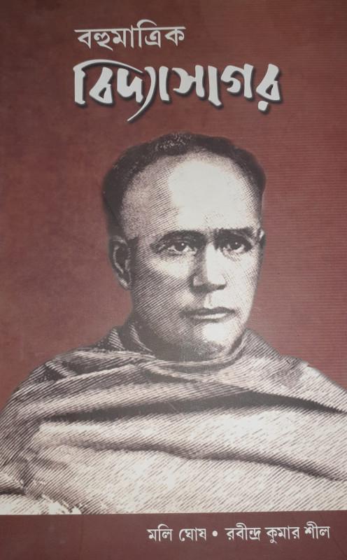 বহুমাত্রিক বিদ্যাসাগর