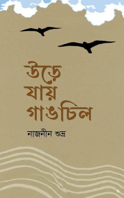 উড়ে যায় গাঙচিল
