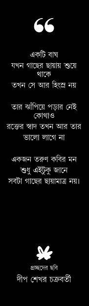 বইয়ের ভেতরের পাতা ১