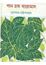 পান চাষ বারোমাস