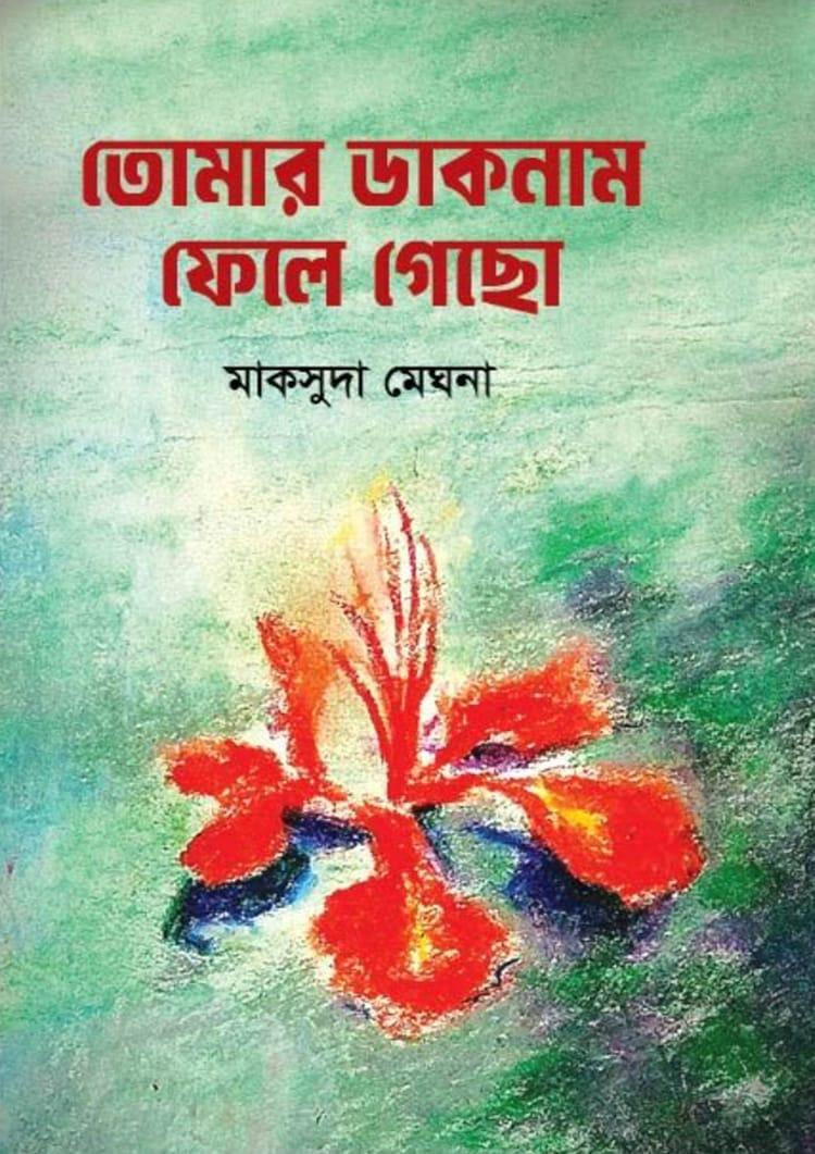 তোমার ডাকনাম ফেলে গেছো