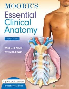 Moore's Essential Clinical Anatomy (Color)