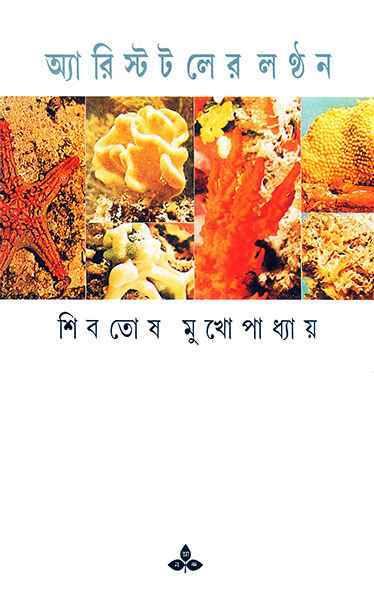 অ্যারিস্টটলের লণ্ঠন (প্রিন্ট আউট)