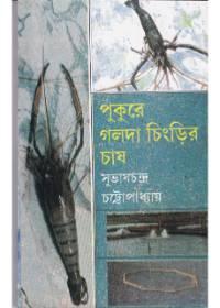 পুকুরে গলদা চিংড়ির চাষ