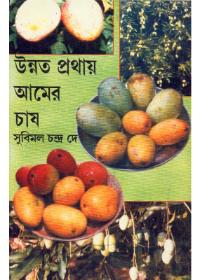 উন্নত প্রথায় আমের চাষ