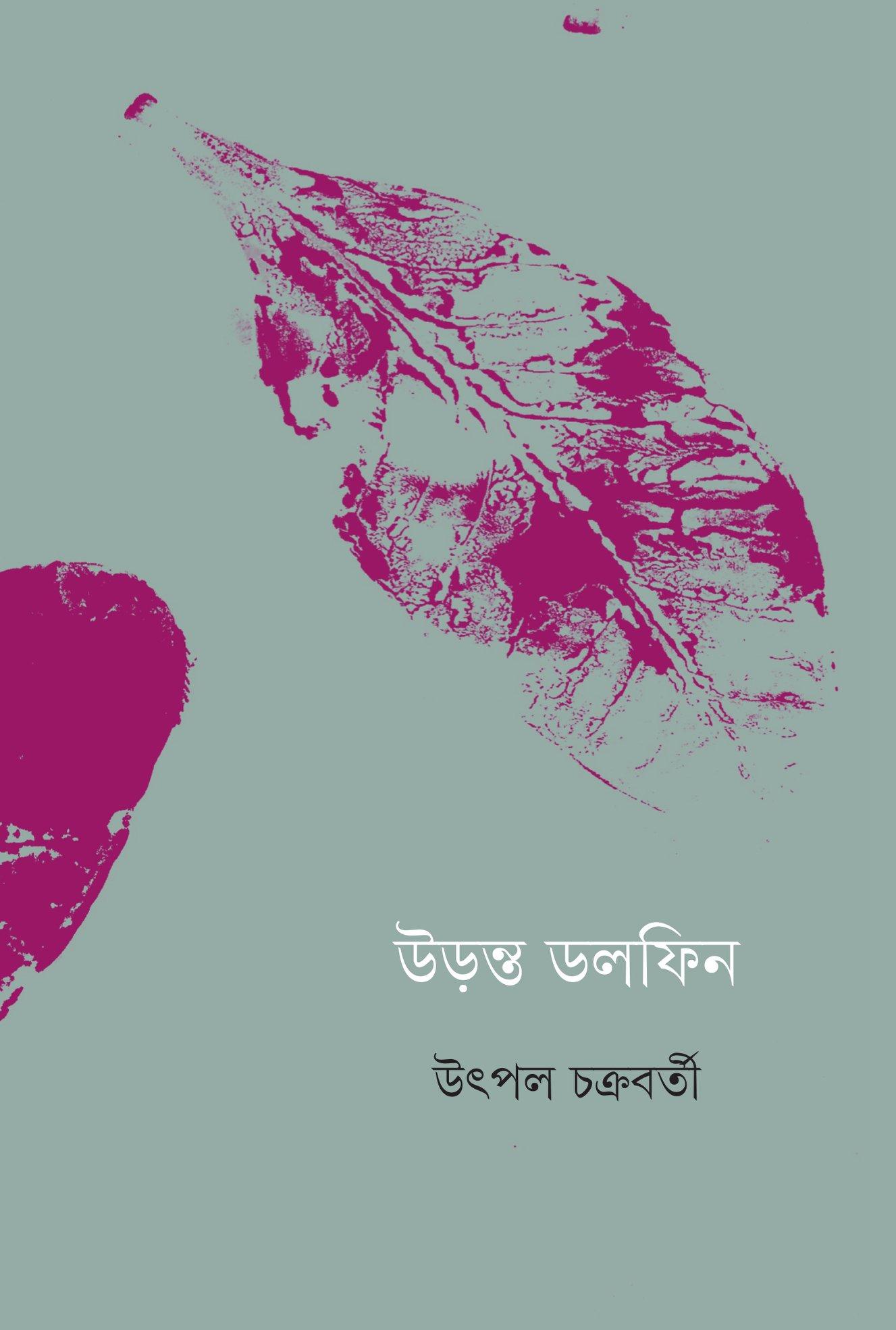 উড়ন্ত ডলফিন