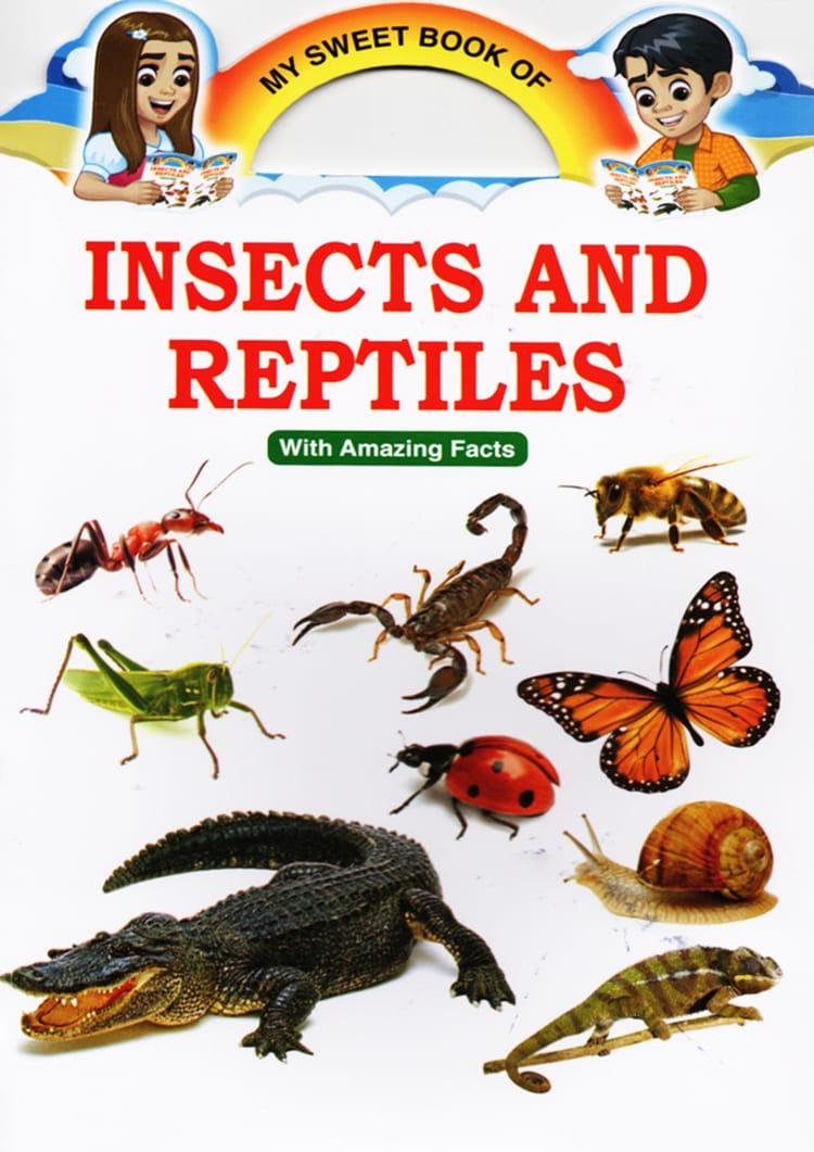 My Sweet Book of Insects And Reptiles