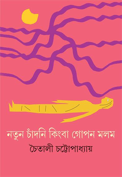নতুন চাঁদনি কিংবা গোপন মলম