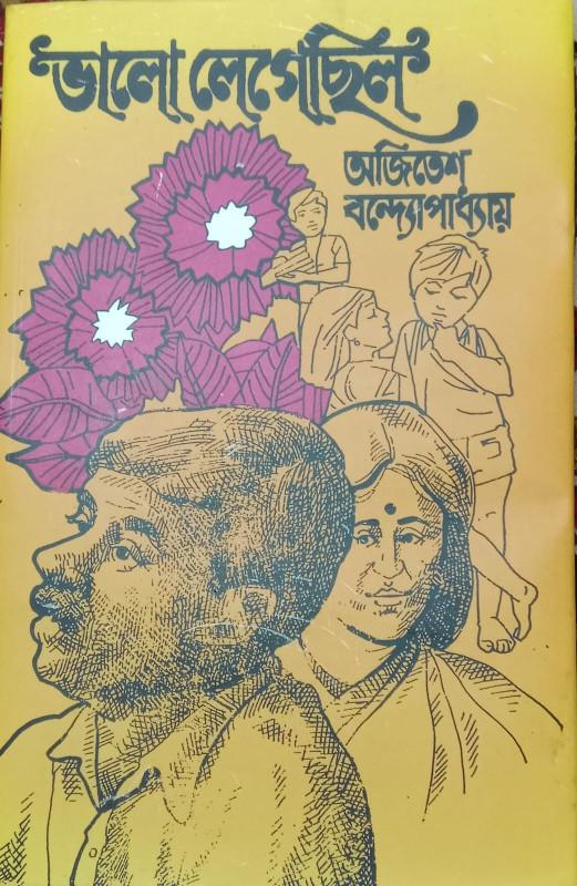 ভালো লেগেছিল