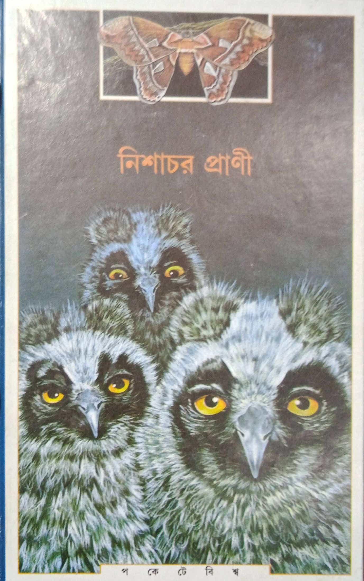 নিশাচর প্রাণী