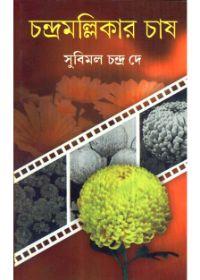 চন্দ্রমল্লিকার চাষ