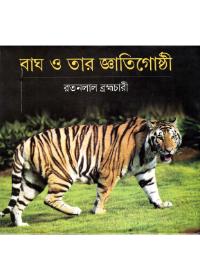 বাঘ ও তার জ্ঞাতিগোষ্ঠী