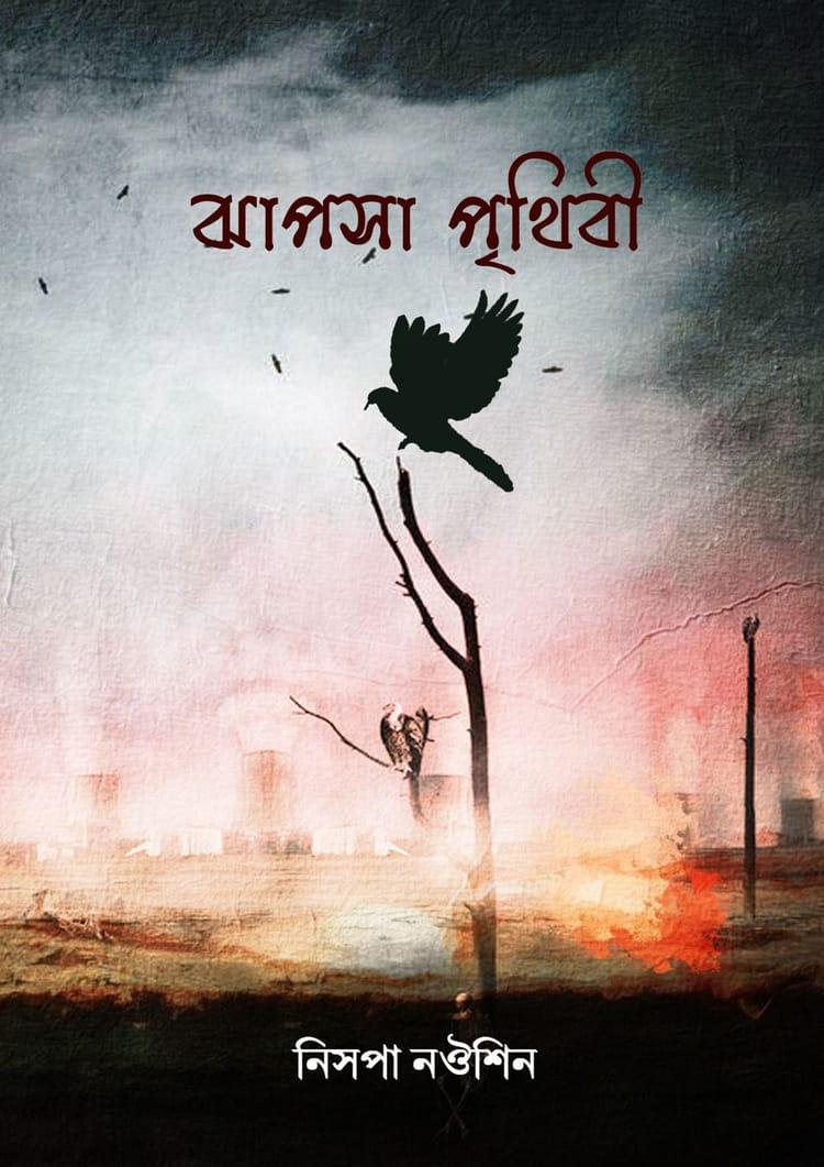 ঝাপসা পৃথিবী