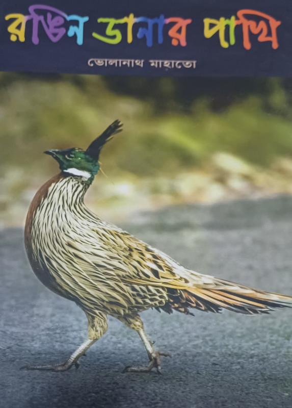 রঙিন ডানার পাখি